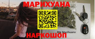 прущие крисы Будённовск