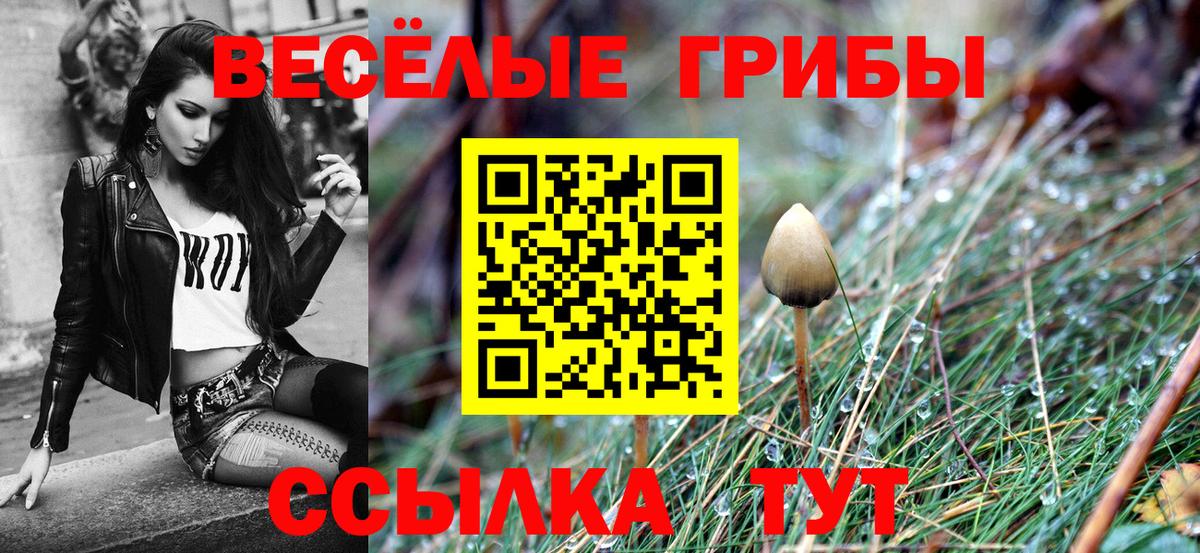 купить наркотики сайты  Псилоцибиновые грибы Magic Shrooms  Вход с VPN  Петрозаводск  Галлюциногенные грибы прущие грибы 