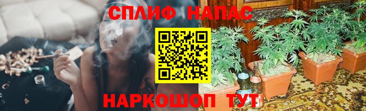 Каннабис SATIVA & INDICA Петрозаводск